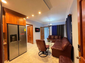 Luxurious and comfortable Central apartment